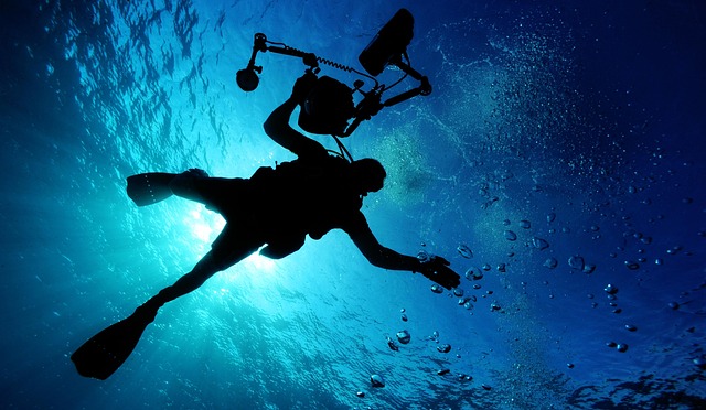scuba diving, nature, swimming, sea, ocean, water, underwater, underwater diving, diver, diving, recreational activity